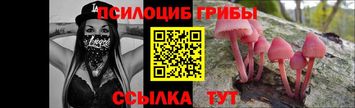 Галлюциногенные грибы Psilocybine cubensis Елец