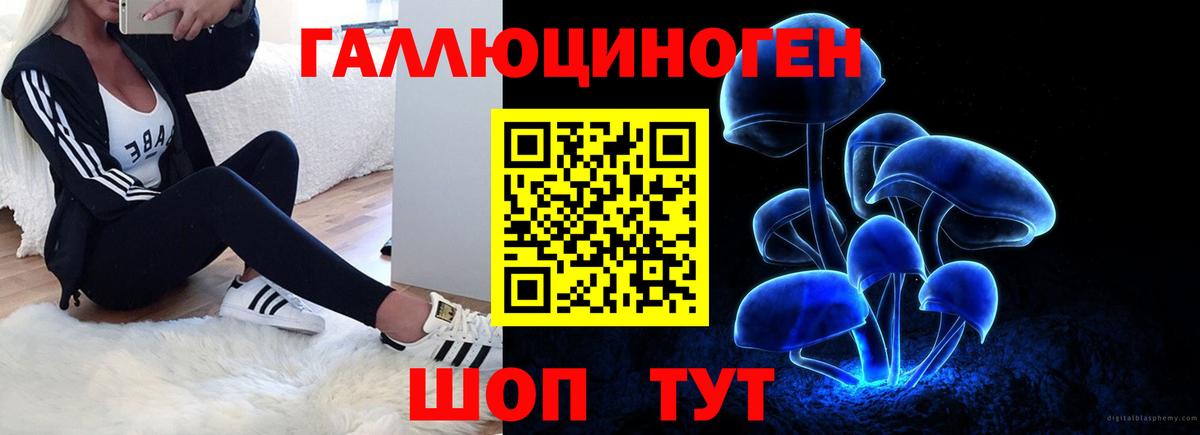 Галлюциногенные грибы Psilocybine cubensis  Вход с VPN  Галлюциногенные грибы Psilocybine cubensis  Елец 